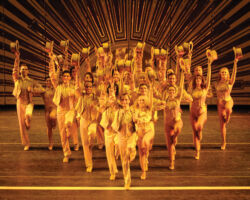 A CHORUS LINE edizione 2007/2008
<br>Foto di Antonio Agostini