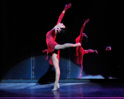 A CHORUS LINE edizione 2007/2008
<br>Foto di Antonio Agostini