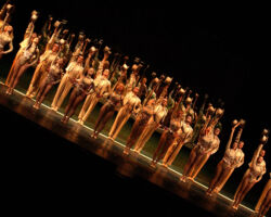 A CHORUS LINE edizione 2007/2008
<br>Foto di Cosè Manuel Rossi