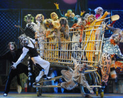 CATS edizione 2009/10
<br>Foto di Alessandro Pinna