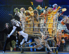 CATS edizione 2009/10
<br>Foto di Alessandro Pinna