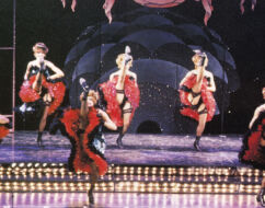 LA CAGE AUX FOLLES edizione 1991/92
<br>Foto di Anna Bulfon