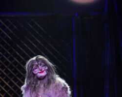 CATS edizione 2009/10
<br>Foto di Alessandro Pinna