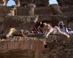 la presentazione al Colosseo
<br> foto di Manuel Cosè Rossi