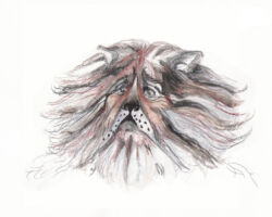 Make-up Deuteronomio
<br> Zaira de Vincentiis