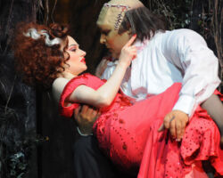 FRANKENSTEIN JUNIOR edizione 2012/2013
<br> foto di Allessandro Pinna