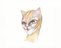 Make-up Jemima
<br> Zaira de Vincentiis