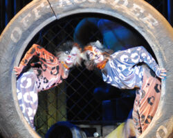 CATS edizione 2009/10
<br>Foto di Alessandro Pinna