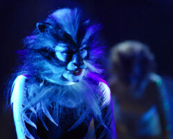 CATS edizione 2009/10
<br>Foto di Alessandro Pinna