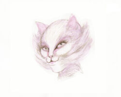 Make-up Victoria
<br> Zaira de Vincentiis