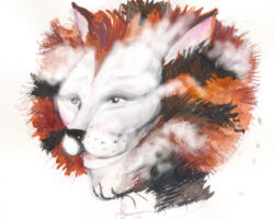 Make-up Mangojerry
<br> Zaira de Vincentiis