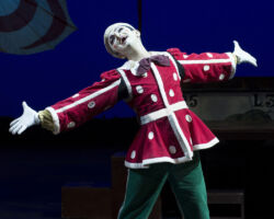 PINOCCHIO edizione 2015
<br>Foto di Alessandro Pinna