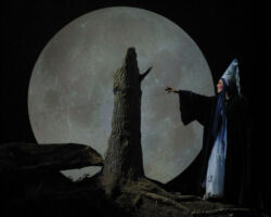 PINOCCHIO - IL GRANDE MUSICAL edizione 2002/03
<br>Foto di Sandro D'Ascanio