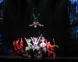 PINOCCHIO - IL GRANDE MUSICAL edizione 2002/03
<br>Foto di Sandro D'Ascanio