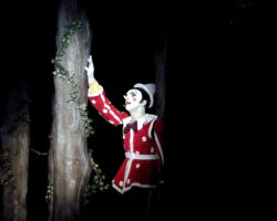 PINOCCHIO - IL GRAND EMUSICAL edizione 2004/05
<br>Foto di Antonio Agostini