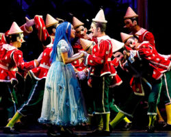 PINOCCHIO - IL GRANDE MUSICAL edizione 2009/10
<br>Foto Mario Macchitella