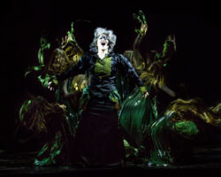 BIG FISH edizione 2018/19
<br>Foto di Giulia Marangoni