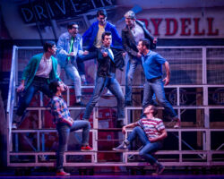 GREASE edizione 2015/2016
<br>Foto di Lorenzo Ceva Valla